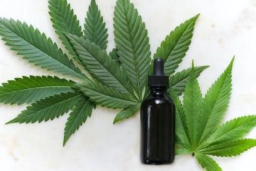 White background with black bottle of CBD laying on three deep green cannabis leaves.