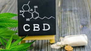 What Can You Do With CBD Isolate Powder? - CBD Facilitator