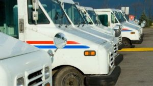 A line of white USPS trucks lined up parked in a parking lot.