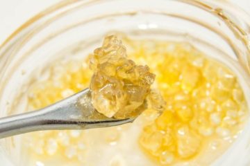 Raw CBD isolate crystals being scooped up by a dab tool.
